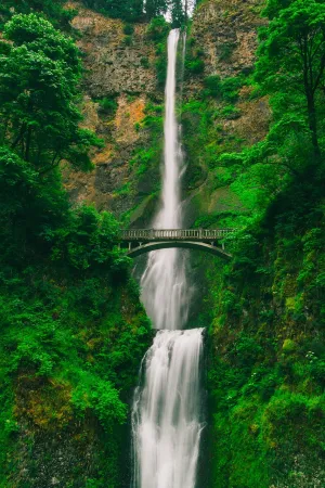 A stunning waterfall cascades down a rocky cliff, flowing beneath a quaint wooden bridge, surrounded by lush green foliage.