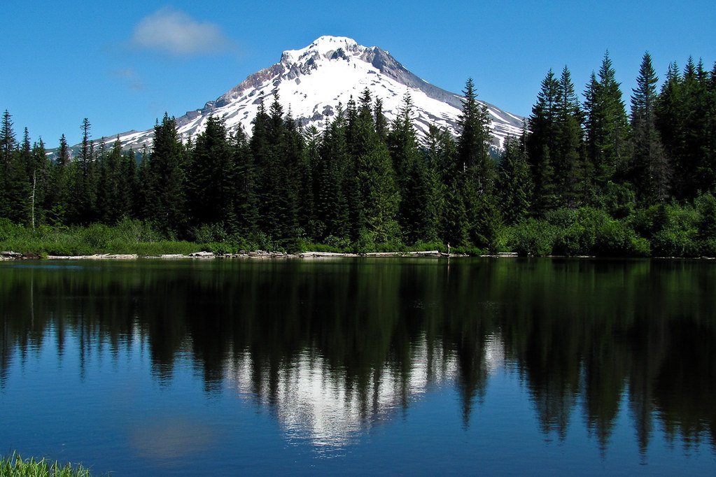 things to do in portland