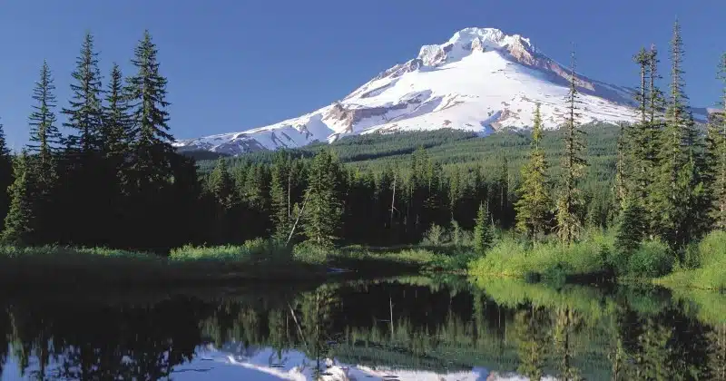Gorge-Waterfalls-and-Mt.-Hood