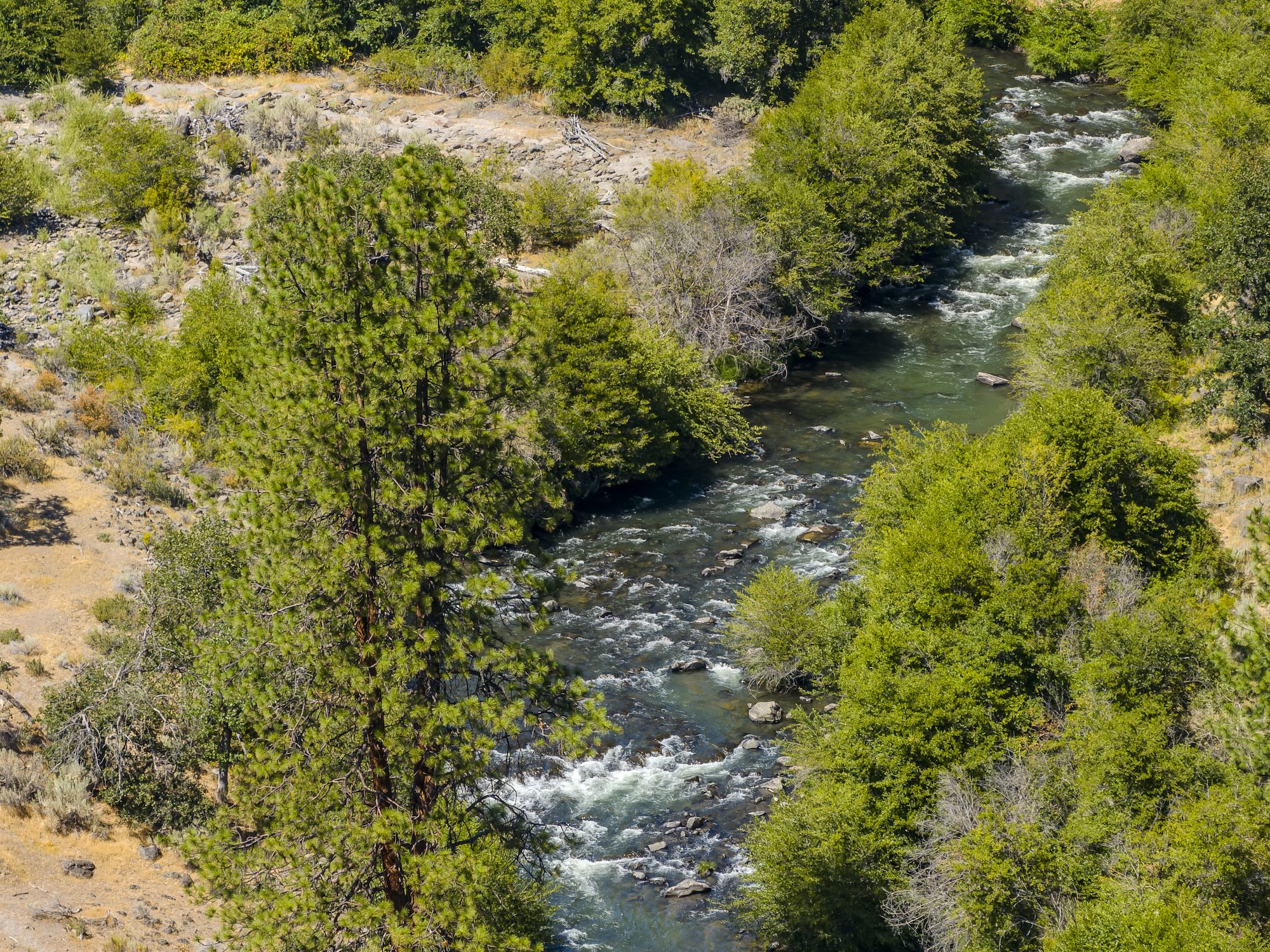 Deschutes-River-rafting-company