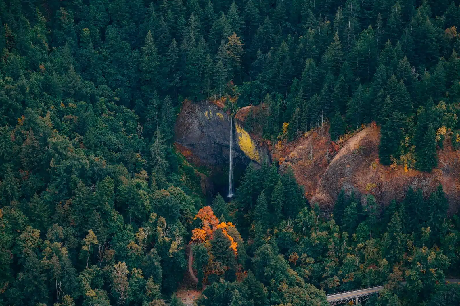 Portland AIr tours