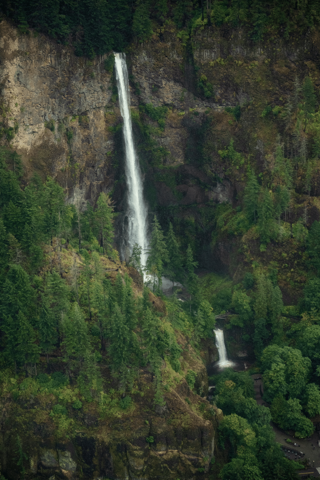 Multnomah Falls Tour