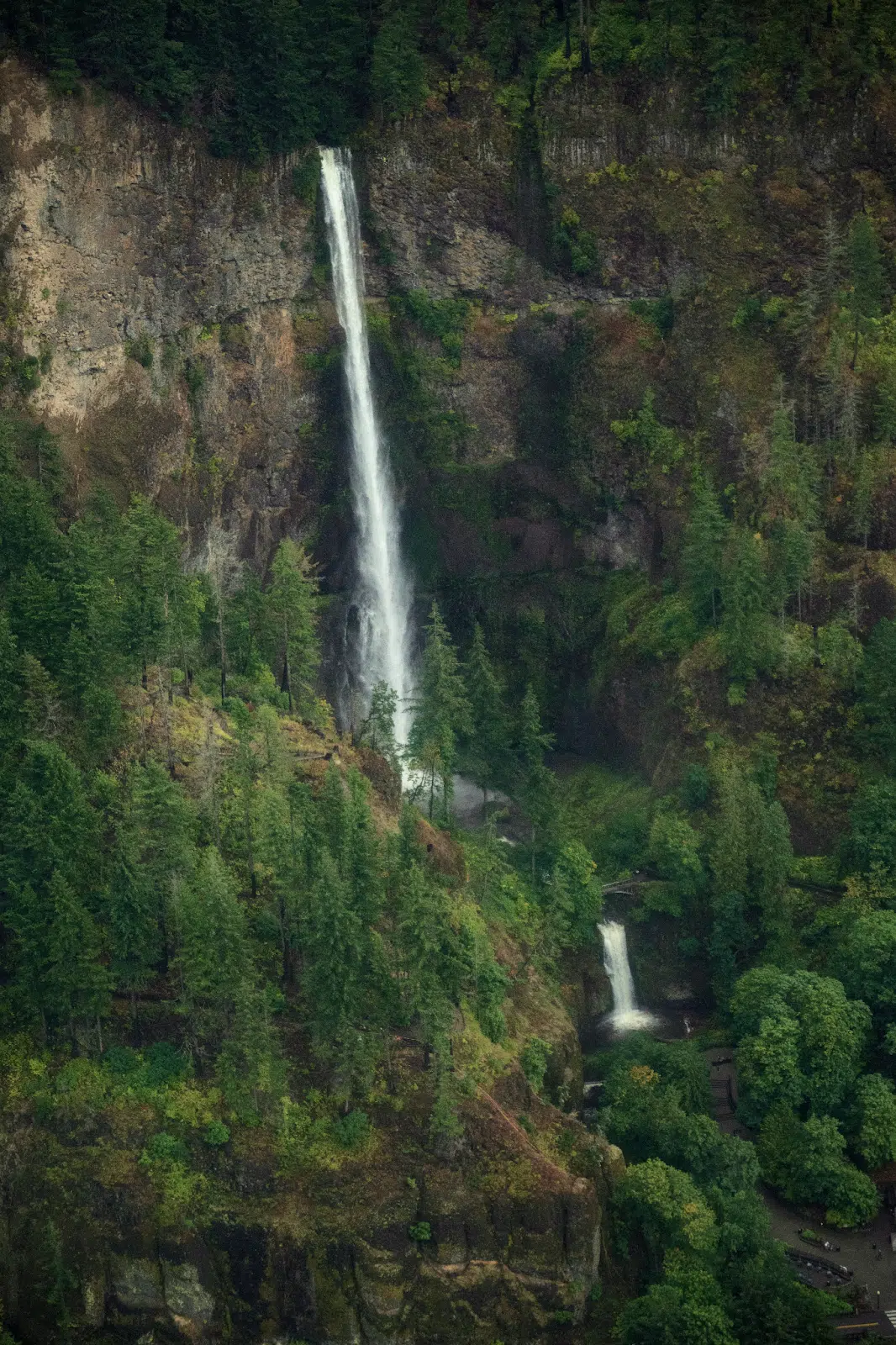 Multnomah Falls Tour